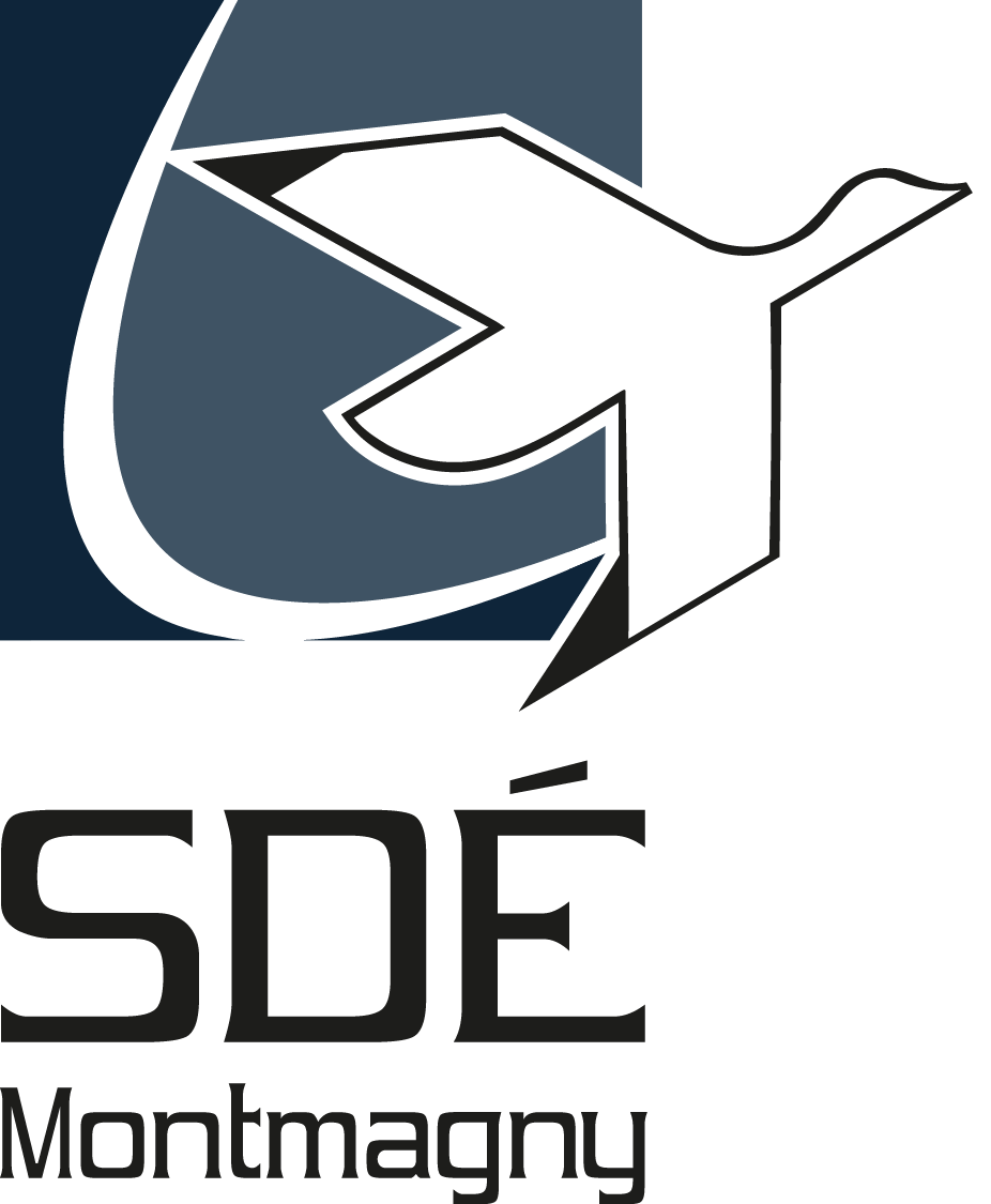 logo SDEM