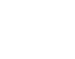 Riopelle 100