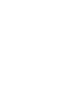 logo SDEM blanc