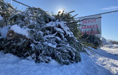 Récupération des arbres de Noël au garage municipal