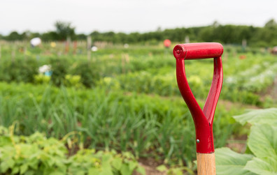 Parcelles de terre et jardinières à louer aux jardins communautaires