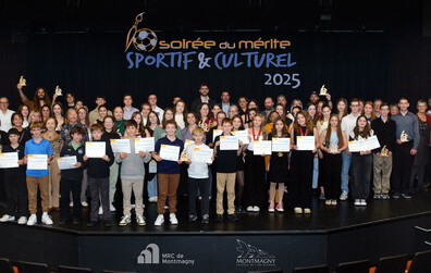 40 Mérites sont attribués lors de la Soirée du mérite sportif et culturel