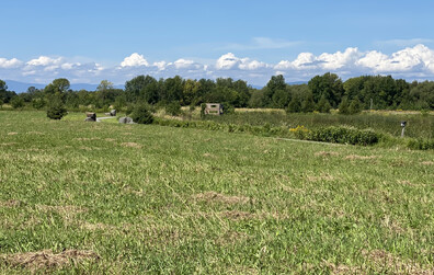Une intervention pour préserver la friche au parc du Marais