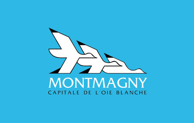 Modifications au règlement sur le stationnement de nuit en période hivernale