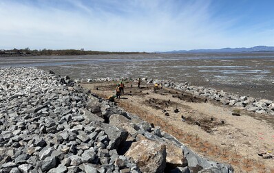 Stabilisation des berges: la phase de végétalisation est en cours