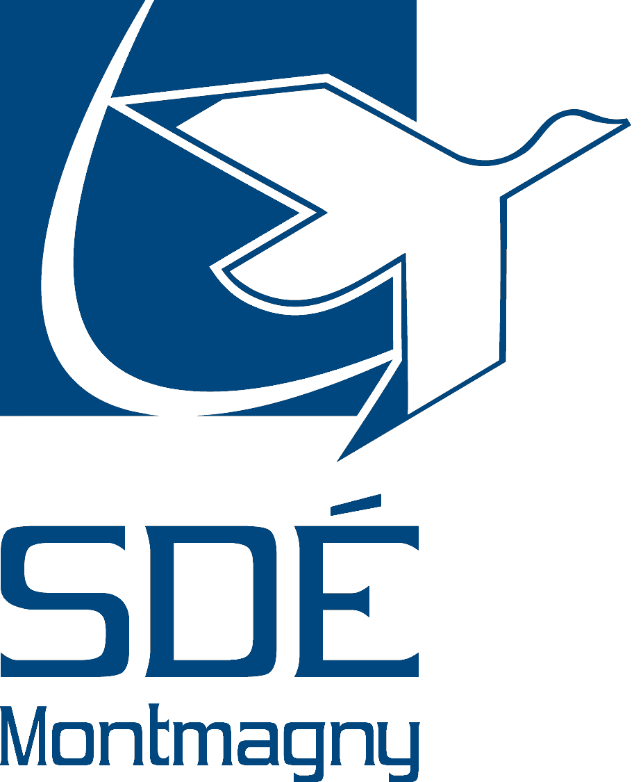 Logo SDEM